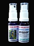 Hyssop Essence and Oils Spray