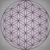THE FLOWER OF LIFE - Vibrational Shift